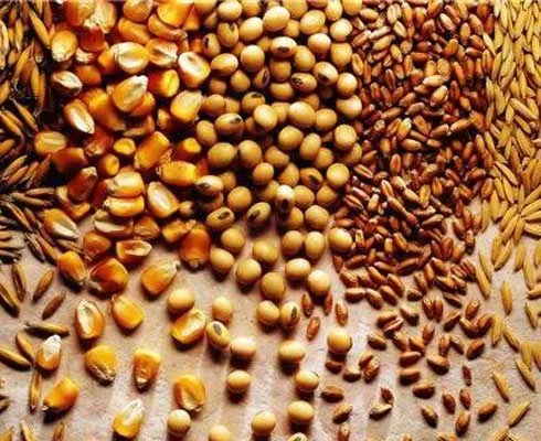 بحران نهاده‌های دامی؛ محصول ناکارآمدی و ساختار معیوب