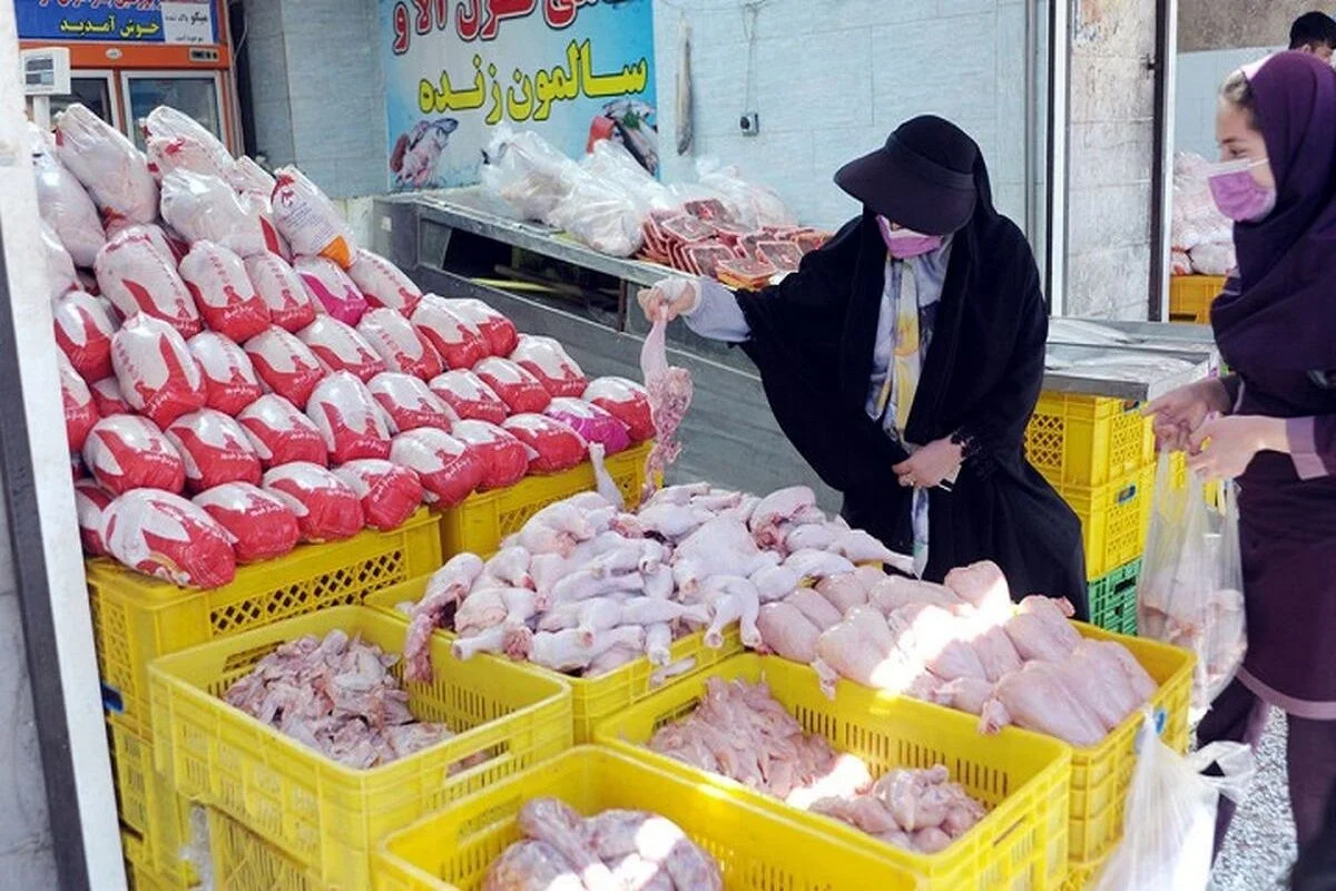 آشفتگی مدیریتی پشت گرانی مرغ