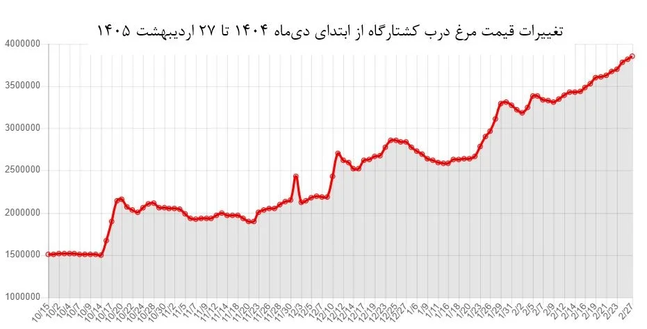 مرغ دیگر پروتئین ارزان نیست