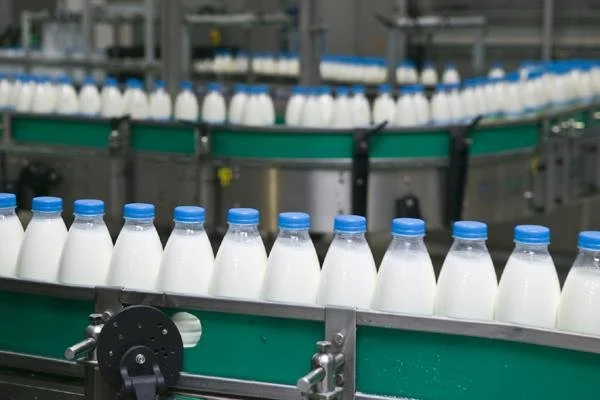 ورود دادستانی تهران به تخلفات مربوط به بازار لبنیات