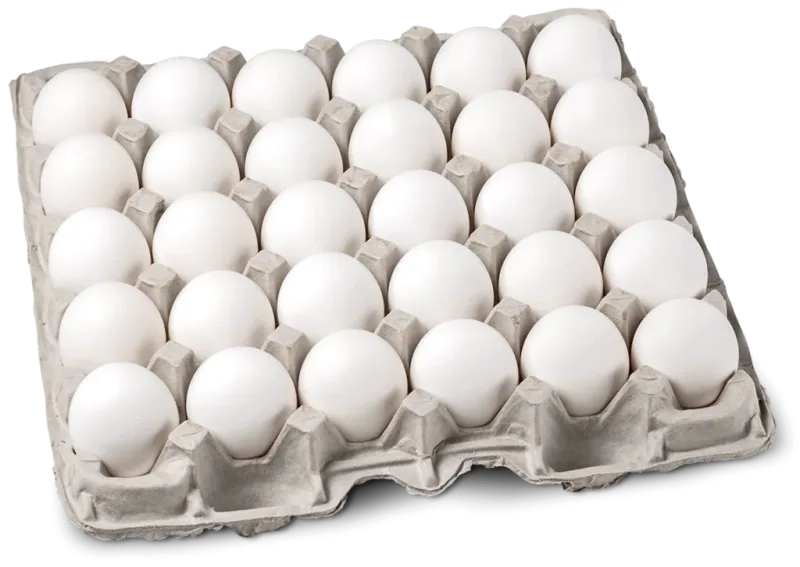 گرانی تخم‌ مرغ سفره فقرا را هدف گرفت